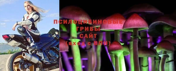 apvp Сатка