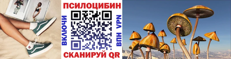 Псилоцибиновые грибы Psilocybine cubensis  Бикин 